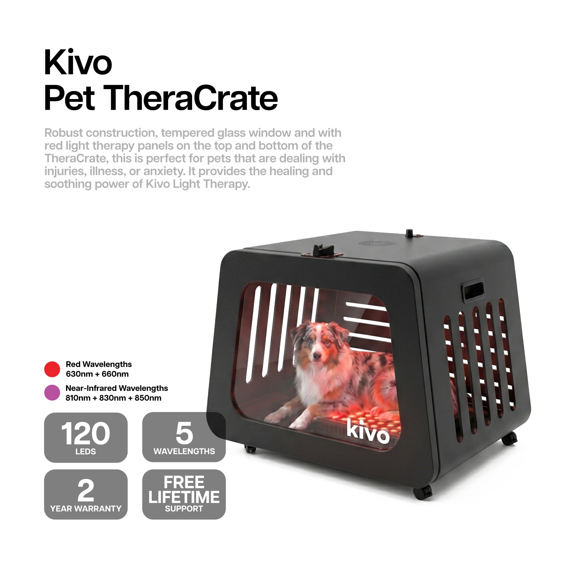 Kivo Pet TheraCrate with a dog inside on a white background