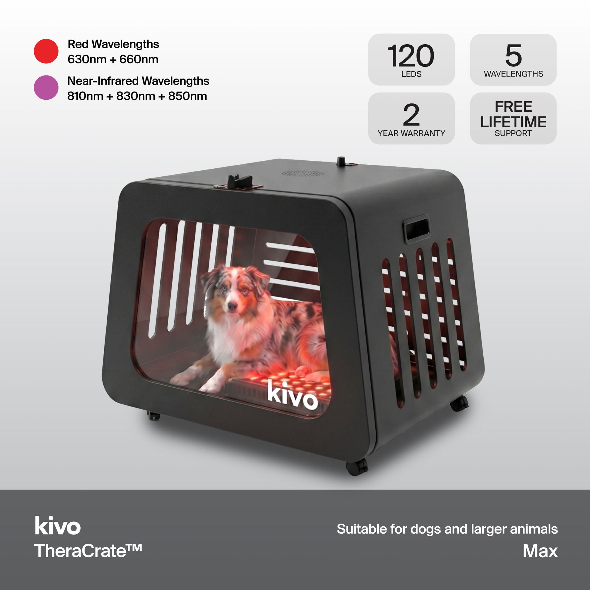 Kivo TheraCrate Max pet red light shown on a light gray background with feature callouts. The black carrier-style lamp glows red inside, with a dog visible through the front window.