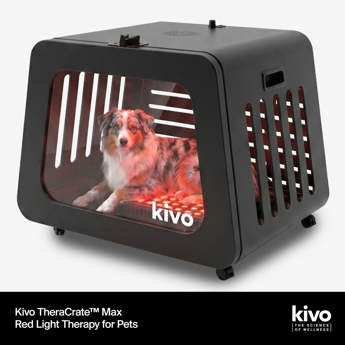 Kivo TheraCrate Max pet red light shown on a light gray background with feature callouts. The black carrier-style lamp glows red inside, with a dog visible through the front window.