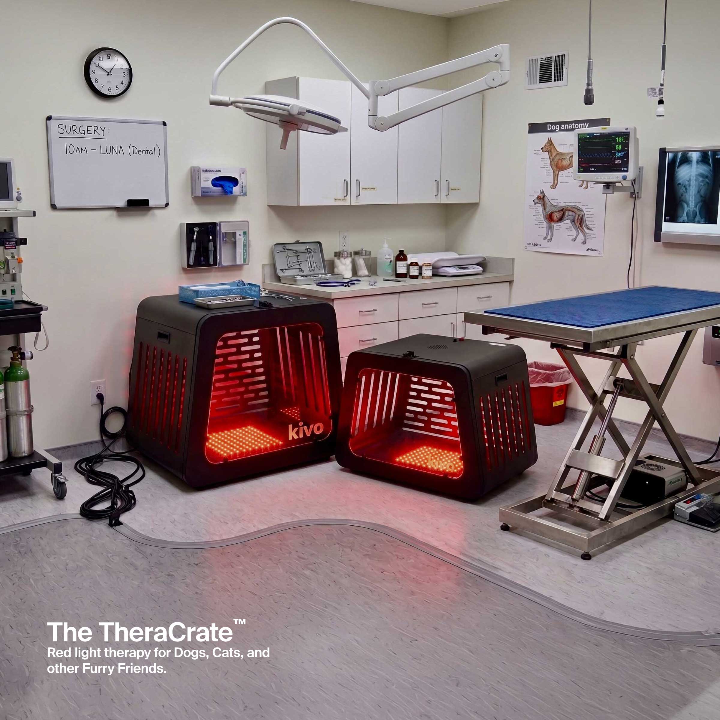 Two Kivo red light therapy pet crates glowing with red light inside a veterinary exam room, with a surgical table, medical cabinets, and whiteboards in the background. A text overlay at the bottom reads 'The TheraCrate Red light therapy for Dogs, Cats, and other Furry Friends.
