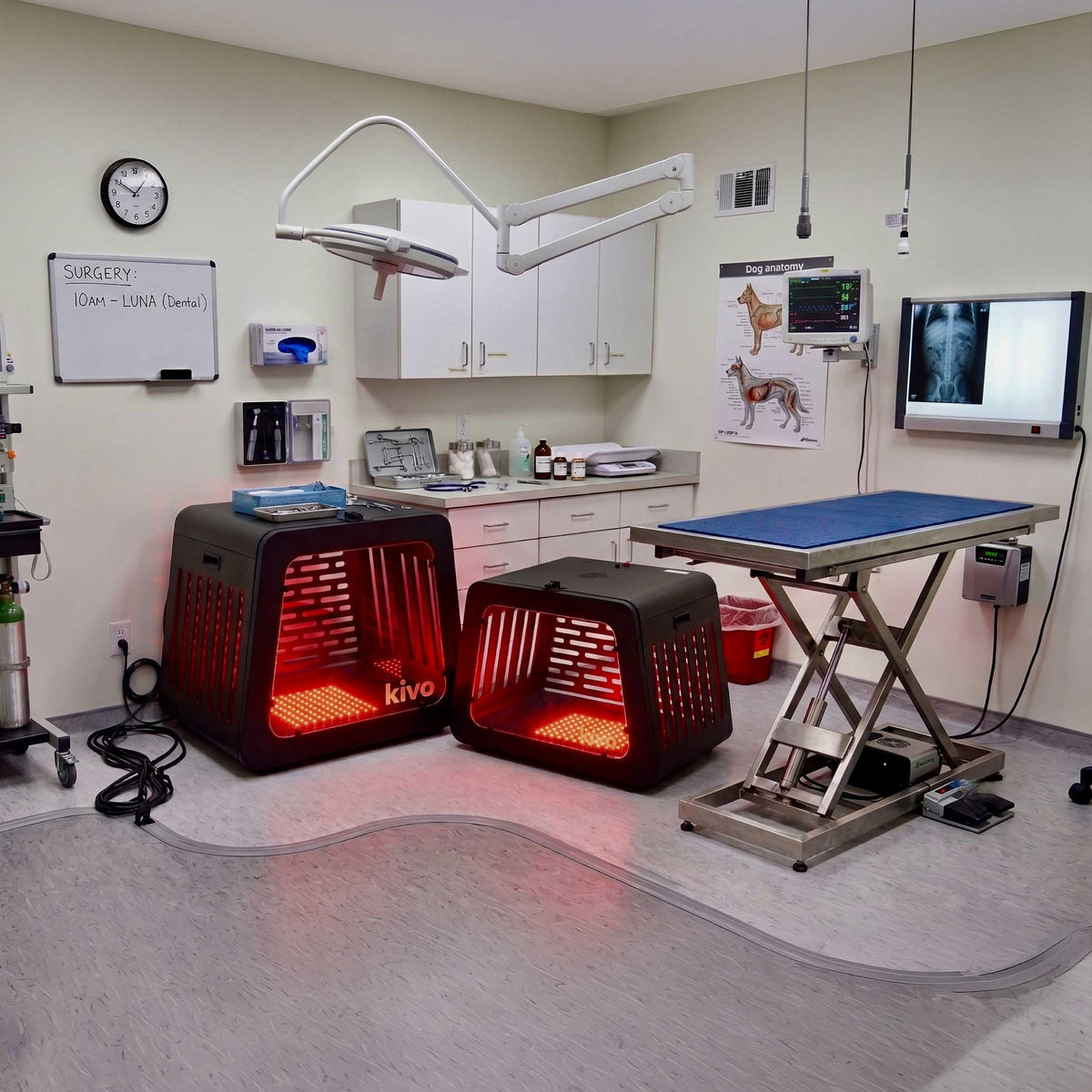 Two Kivo red light therapy pet crates glowing with red light inside a veterinary exam room, with a surgical table, medical cabinets, and whiteboards in the background. A text overlay at the bottom reads 'The TheraCrate Red light therapy for Dogs, Cats, and other Furry Friends.