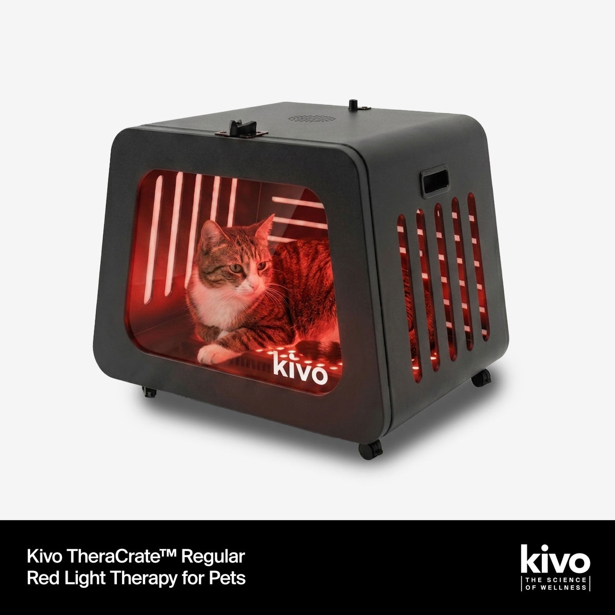 Kivo TheraCrate pet light therapy crate shown on a light gray background with feature callouts: red and near-infrared wavelengths, 120 LEDs, 5 wavelengths, 2-year warranty, and free lifetime support. A cat is visible inside the illuminated box.